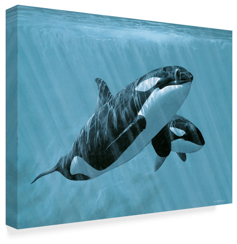 Ron Parker 'Mother And Son Orcas' Canvas Art, 19"x14"