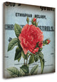 "Petite Rose II" By Sabine Berg, Giclee Print on Gallery Wrap Canvas