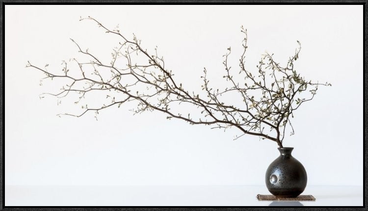 "Vase And Branch" Framed Canvas Giclee by Prbimages, 31x18"
