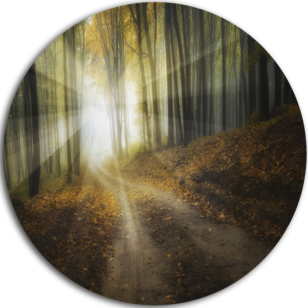 Bright Sun Rays In Colorful Fall, Landscape Photo Round Wall Art, 38"