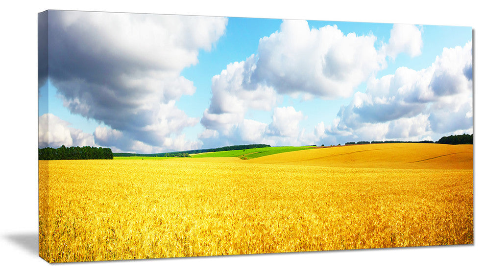 Beautiful Field Panorama, Landscape Canvas Art Print, 40x20