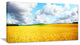 Beautiful Field Panorama, Landscape Canvas Art Print, 40x20