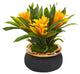 11" Bromeliad Artificial Plant, Stoneware Planter