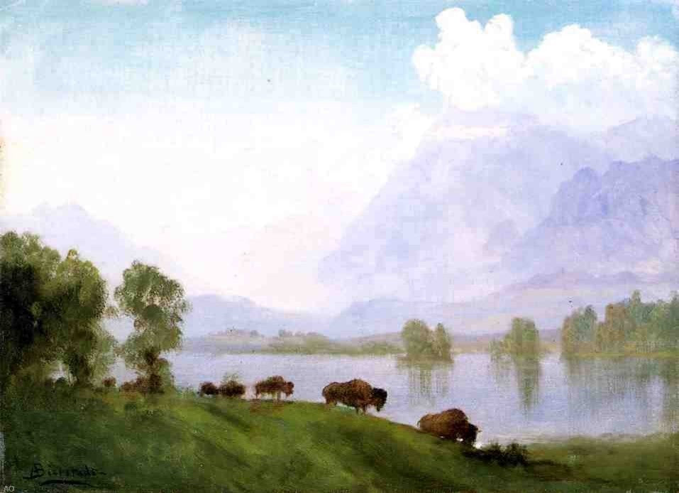Albert Bierstadt Buffalo Country, 18"x27" Wall Decal