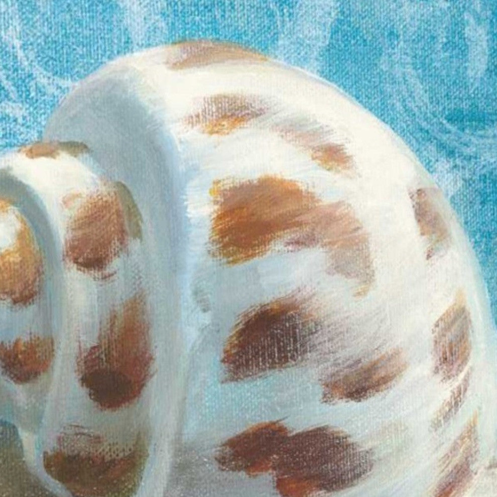 18" Mod Blue Scroll Coastal Conch 2 Giclee Wrap Canvas Wall Art