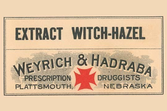 Extract Witch - Hazel - Canvas Poster 20" x 30"