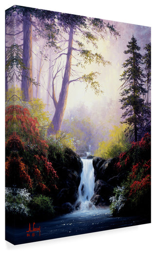 "Forest Scene" by Anthony Casay, Canvas Art, 19"x14"