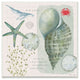 Sea Shell Inspirational Word Beach Coast Drawing, 12"x12"