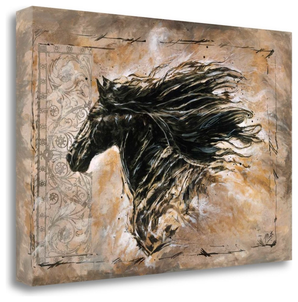 "Black Beauty" By Marta G. Wiley, Giclee Print on Gallery Wrap Canvas