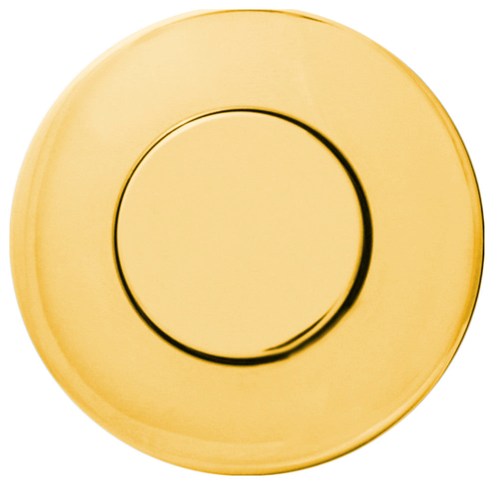 Raised Button Disposal Air Switch and Dual Outlet Control Box, Polished Brass