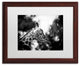 Mathieu Rivrin ''Queen Of Africa'' Matted Framed Art, Wood Frame, White, 20x16