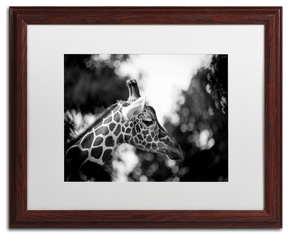 Mathieu Rivrin ''Queen Of Africa'' Matted Framed Art, Wood Frame, White, 20x16