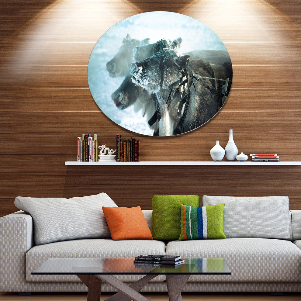 Muzzle Reindeer In Frost, Animal Round Wall Art, 23"