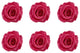 Large Preserved Roses, Set of 6, Baby Pink