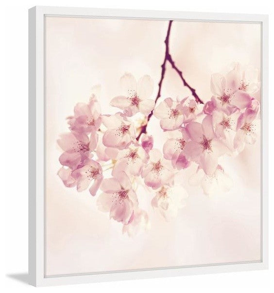 "Cherry Blossoms" Framed Painting Print, 24"x24"