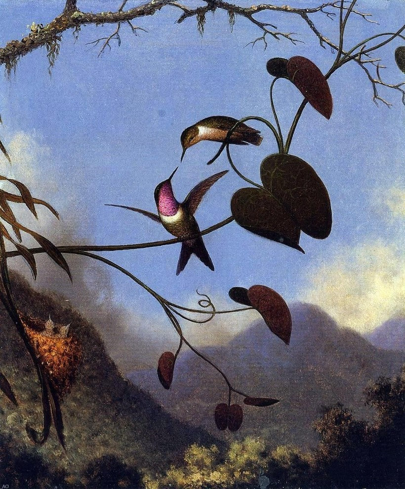 Martin Johnson Heade Amethyst Woodstar, 20"x25" Wall Decal