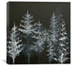 "Black Trees" by Emily Magone, 37"x37"