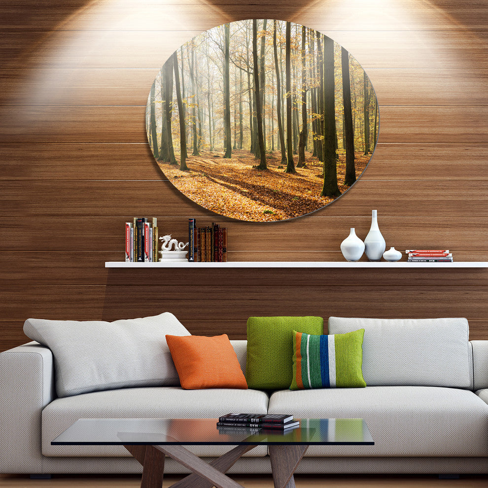 Bright Autumn Day In Thick Forest, Forest Disc Metal Artwork, 36"