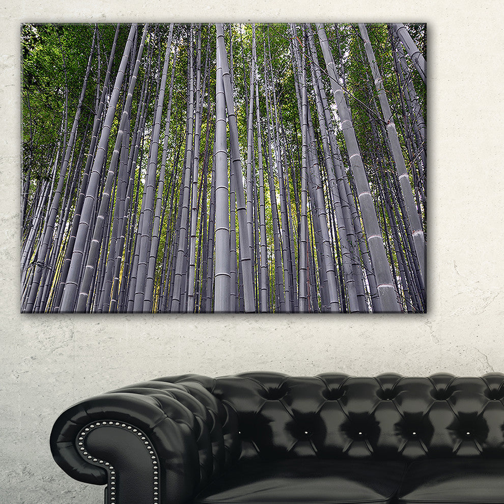 "Thick Bamboo Trunks in Japan" Forest Canvas Wall Art Print, 40"x30"