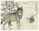 "Northern WIld I" Digital Paper Print by James Wiens, 30"x24"