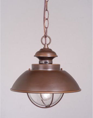 Harwich 10" Outdoor Pendant in Burnished Bronze