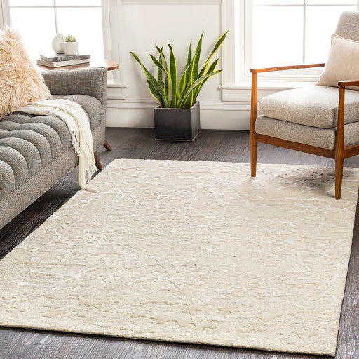 Surya Opus OPS-2305 4'x6' Rug, Ivory/Light Gray/Taupe/White