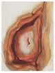 Chris Paschke ''Watercolor Geode V'' Canvas Art, 24"x18"