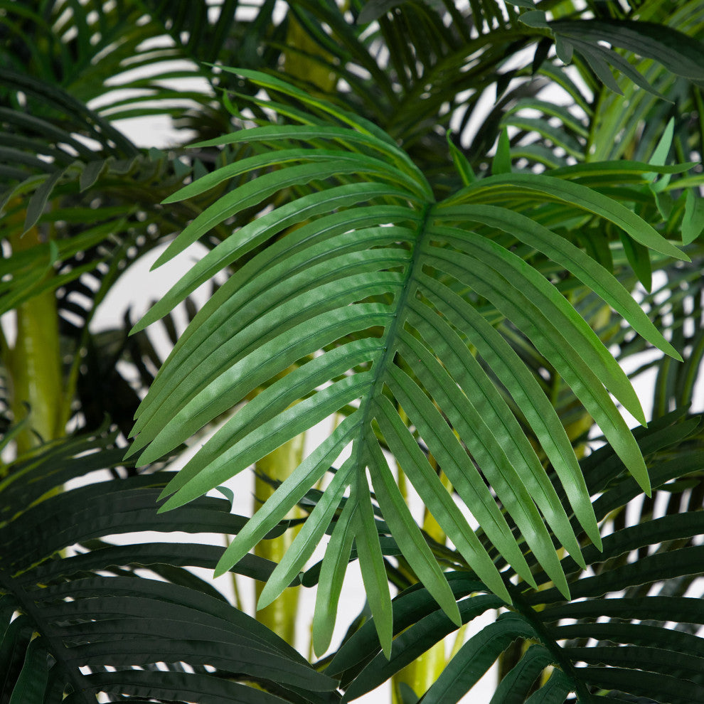 Close-up leaf/frond detail on white background