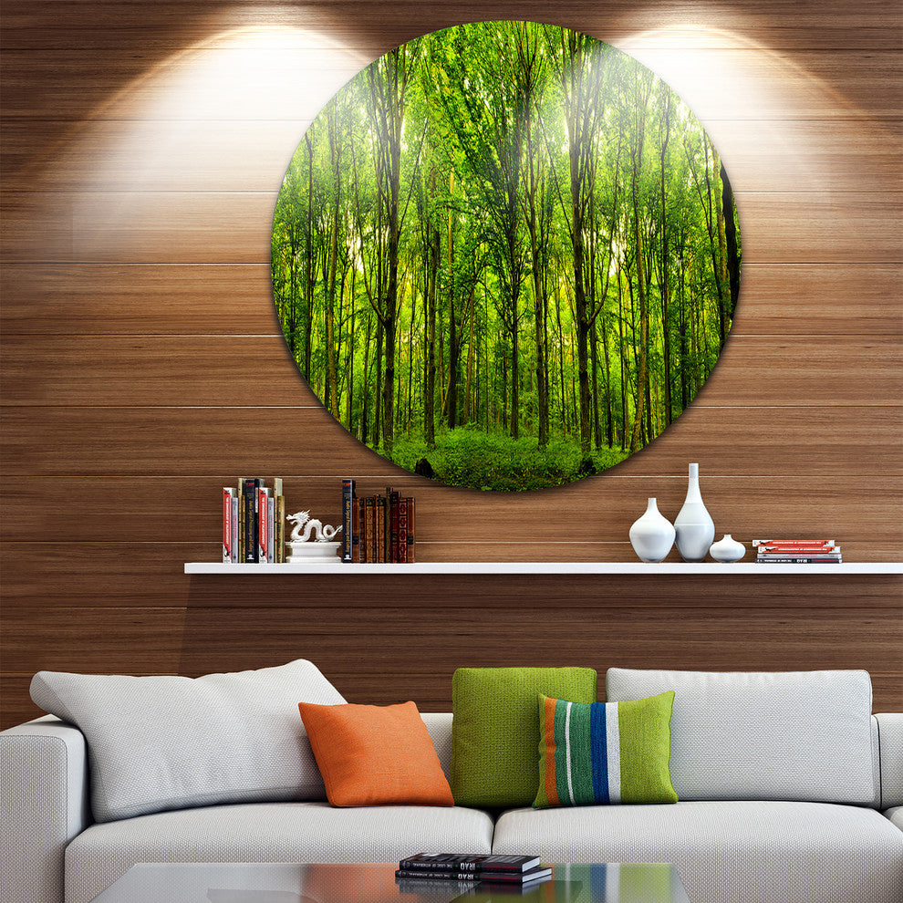 Green Forest, Landscape Photo Disc Metal Artwork, 36"
