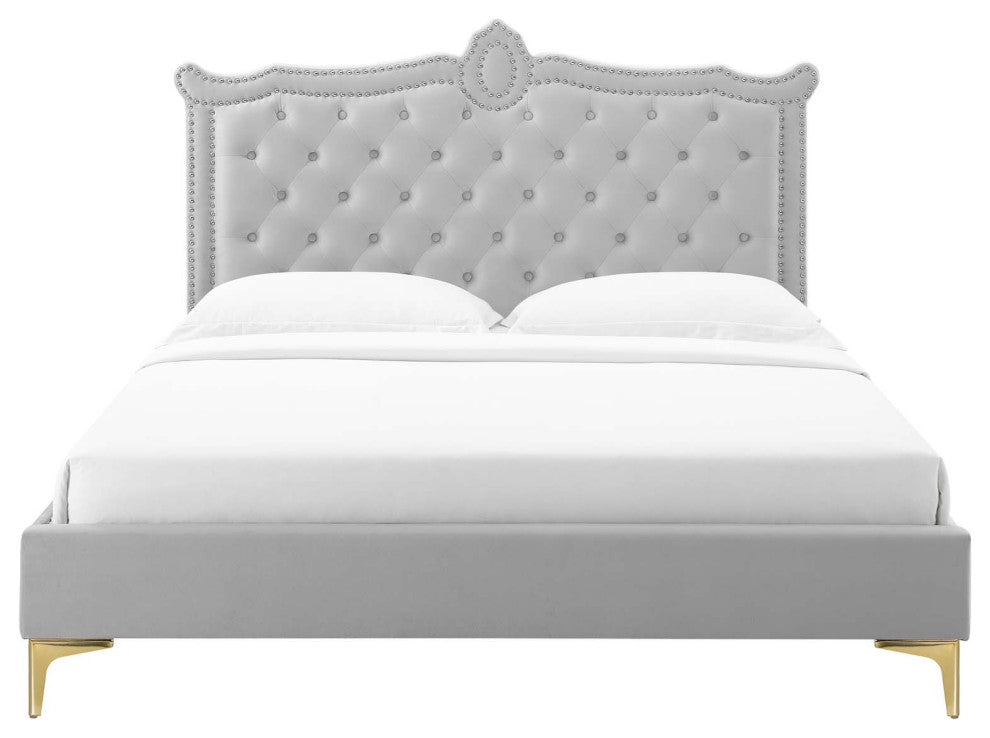 Platform Bed Frame, Nailhead, Queen Size, Gray, Velvet, Modern