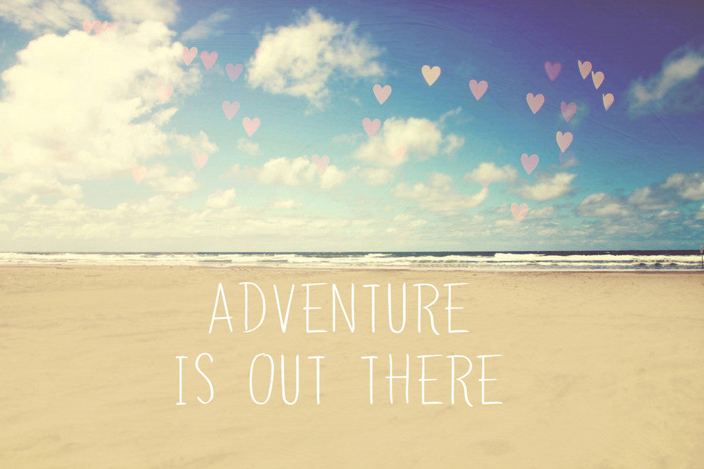 "Adventure Is Out There" Print on Canvas by Sylvia Cook