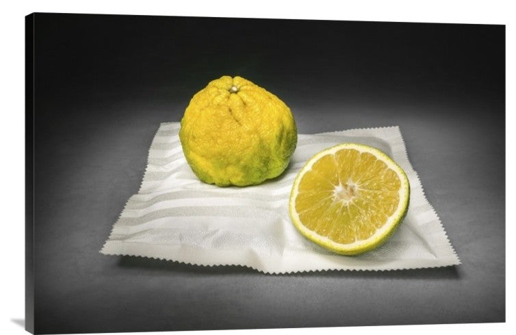 "Citrus" Stretched Canvas Giclee by Christophe Verot, 30"x20"