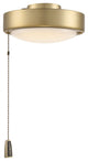 LED Disk Fan Light Kit in Satin Brass