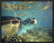 "Green Sea Turtle, Balicasag Island, Philippines"  by Tim Fitzharris, 17x13"