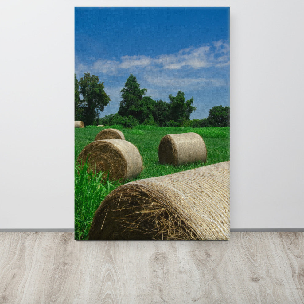 Hay Whatcha Doin in the Field Landscape Photo Canvas Wall Art Print, 24" X 36"