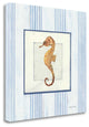 "Sanibel Shell IV" By Avery Tillmon, Giclee Print on Gallery Wrap Canvas
