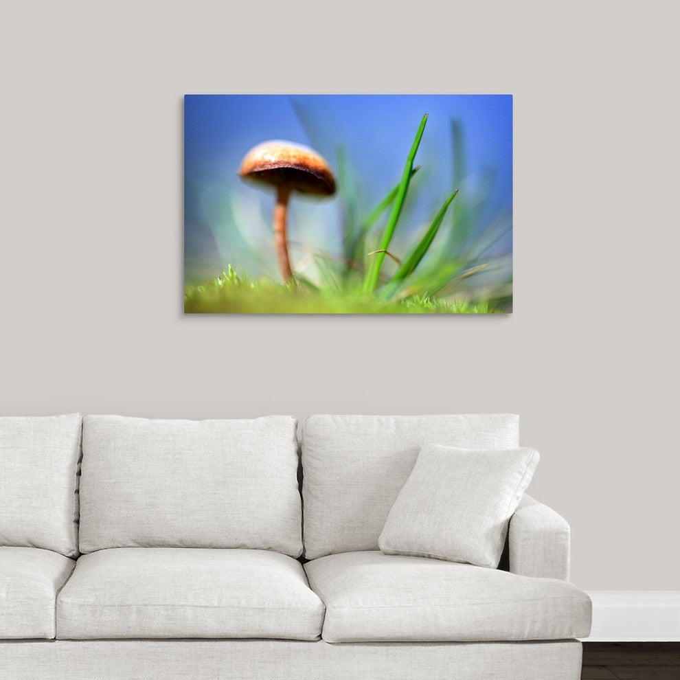 "Spring Mushroom" Wrapped Canvas Art Print, 36"x24"x1.5"