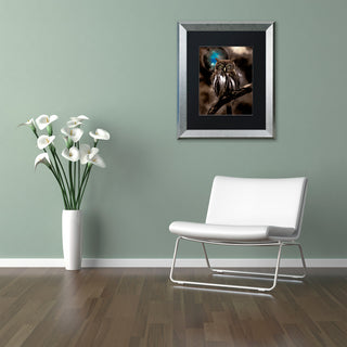 Color Bakery 'Night Owl' Art, Silver Frame, Black Matte, 11"x14"
