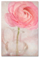 Cora Niele 'Single Rose Pink Flower' Canvas Art