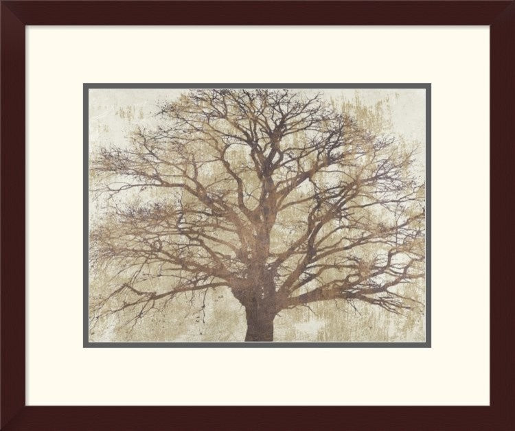 "Sacred Oak" Framed Digital Print by Alessio Aprile, 24x20"