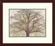 "Sacred Oak" Framed Digital Print by Alessio Aprile, 24x20"