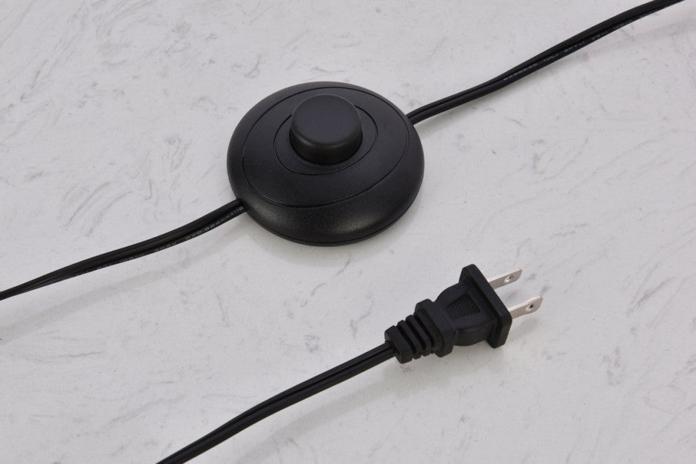Joshua 1-Light Black Floor Lamp