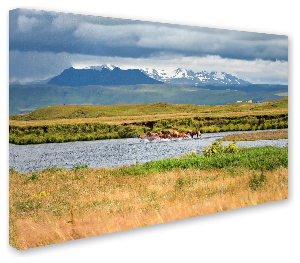 Philippe Sainte-Laudy 'Wild Horses' Canvas Art