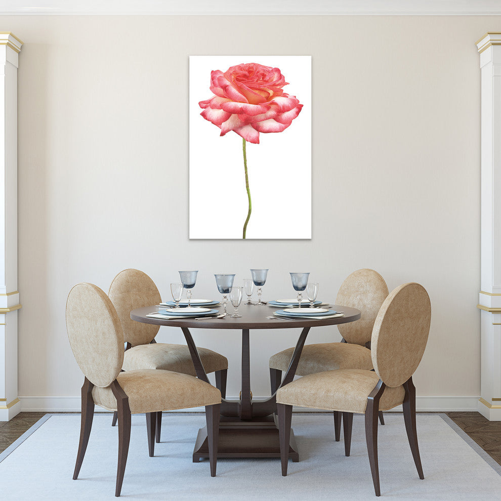 Pink Rose Wall Art Frameless Free Floating Tempered Art Glass, 32"x 48"