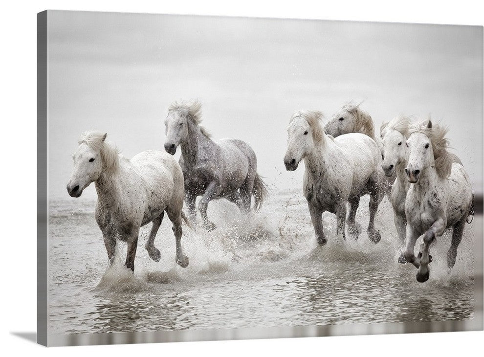 "Running in the pond " Wrapped Canvas Art Print, 48"x32"x1.5"