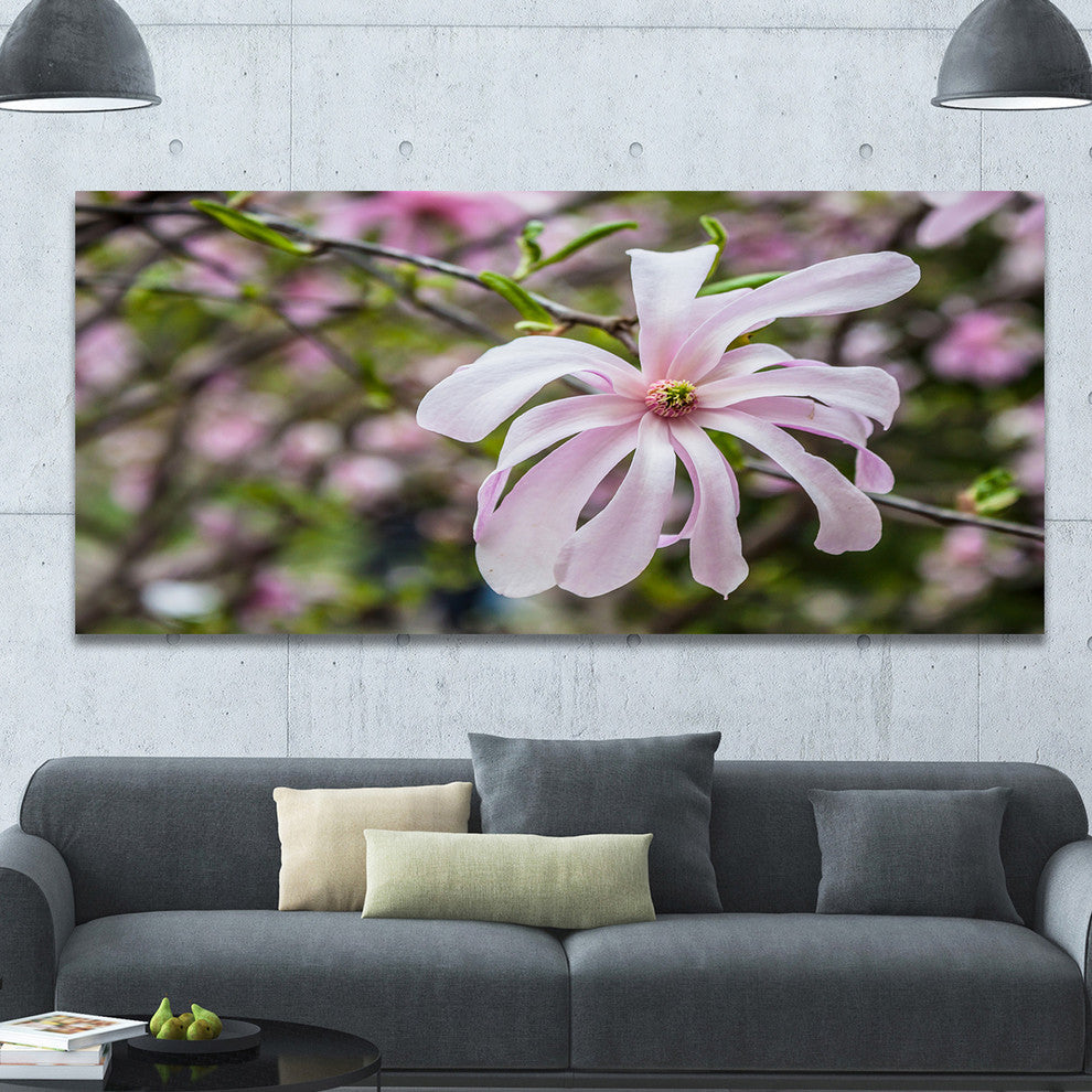 Beautiful Magnolia Flowers, Floral Canvas Art Print, 60"x28"
