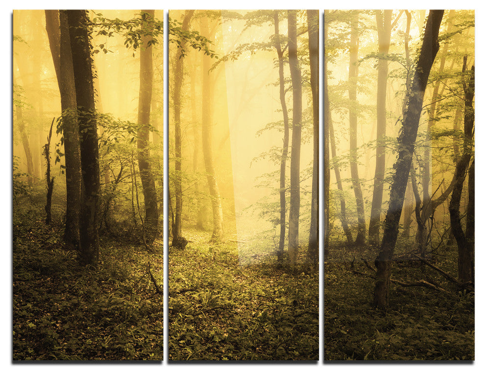 "Trail Through Yellow Foggy Forest" Photo Metal Wall Art, 3 Panels, 36"x28"
