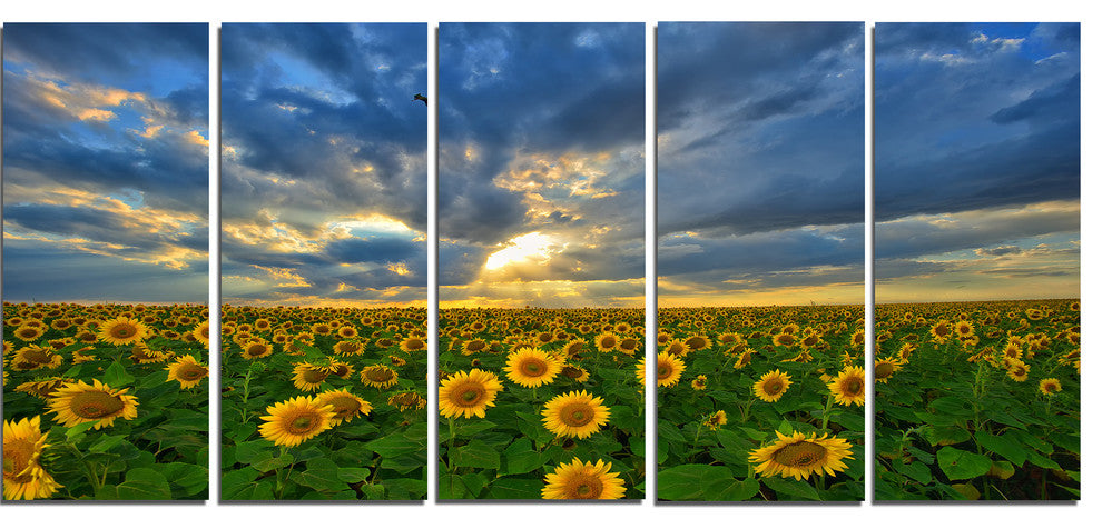 Beauty Sunset over Sunflowers, Landscape Canvas Art Print, 60"x28", 5 Panels