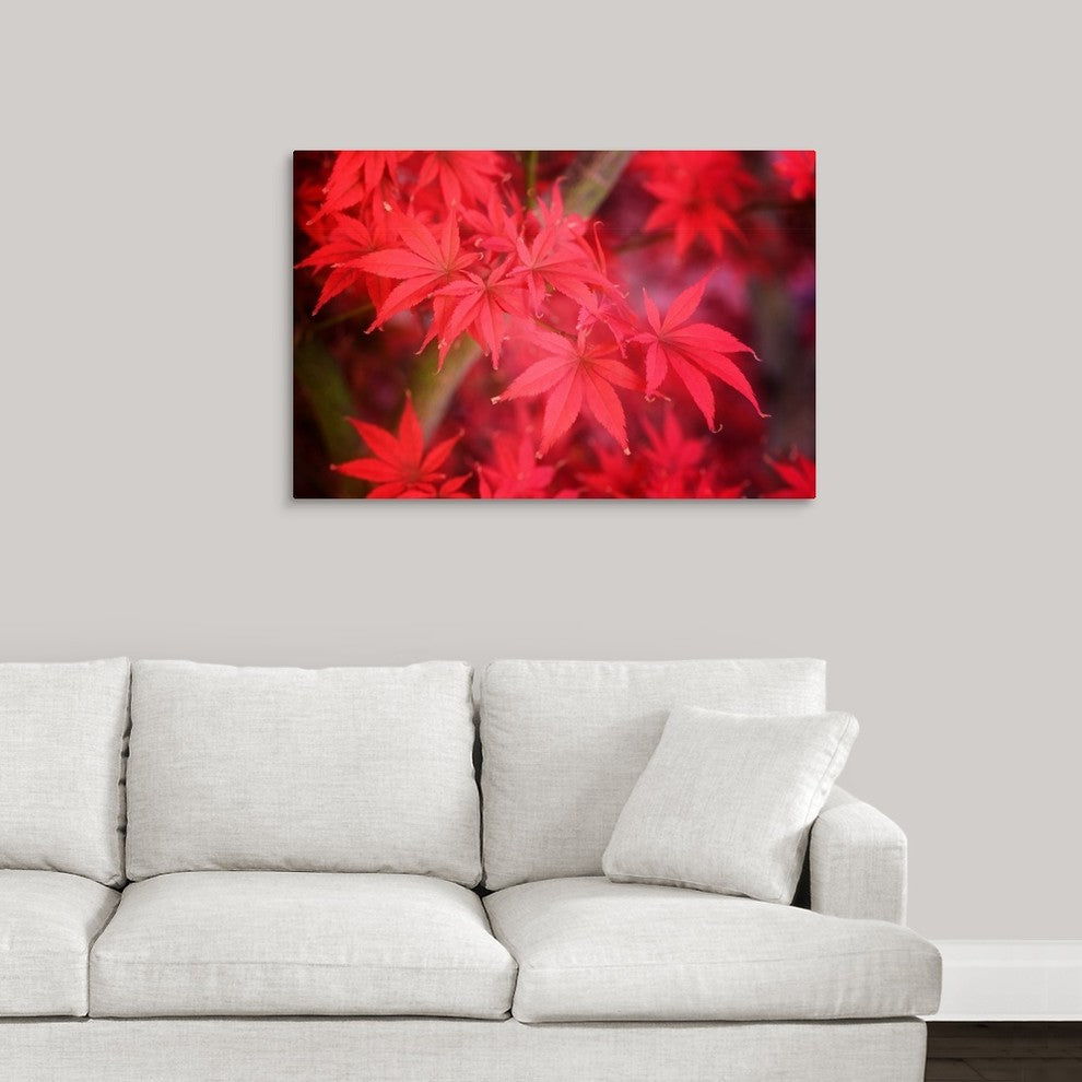 "Red and Red" Wrapped Canvas Art Print, 36"x24"x1.5"