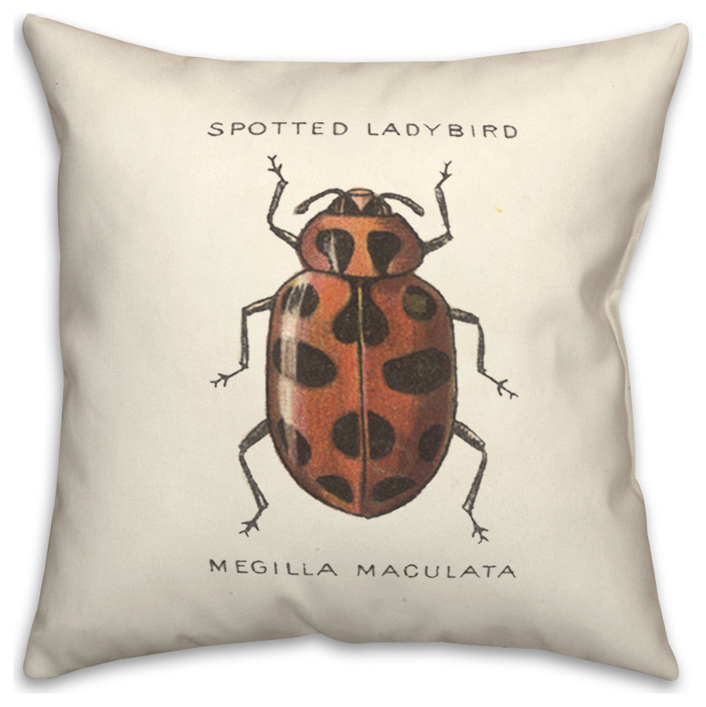 Vintage Ladybug Diagram 18x18 Spun Poly Pillow
